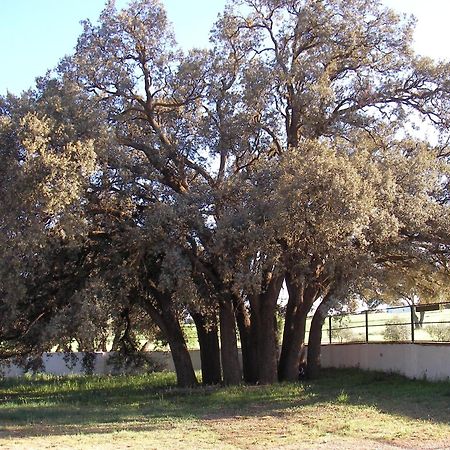 Agroturismo Calixto Βιγιαρρομπλέδο Εξωτερικό φωτογραφία